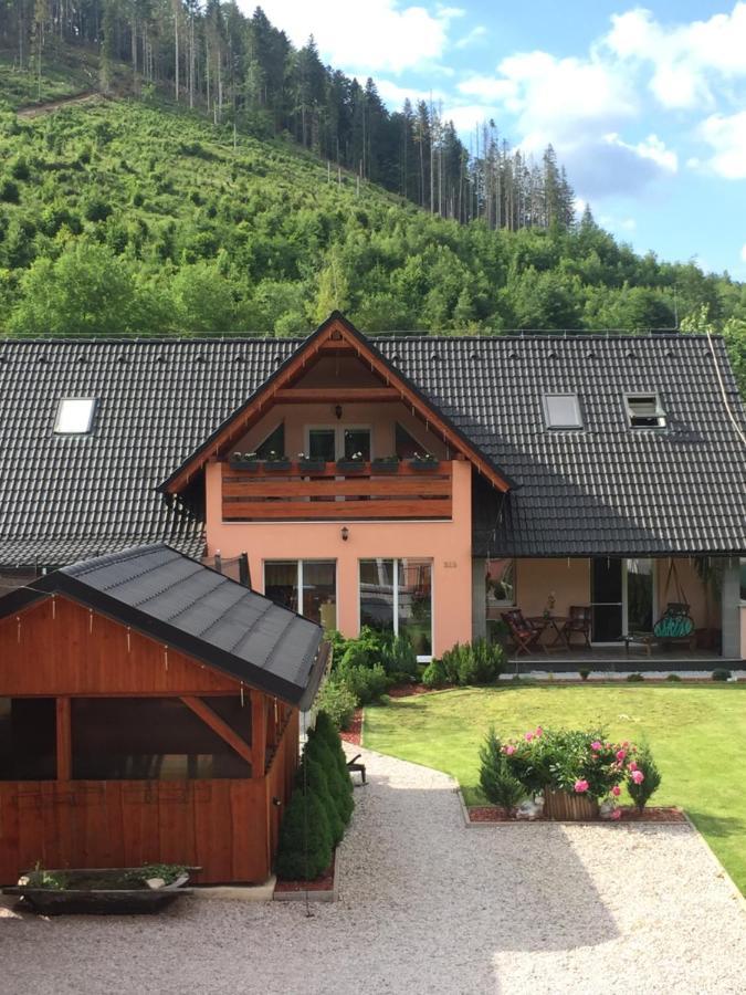 MlynkyDovolenkovy Dom Carnica别墅 外观 照片